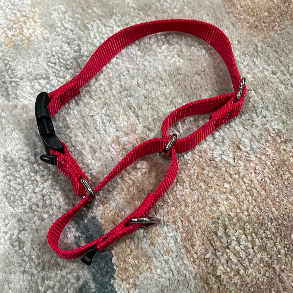 Never Used - Pet safe collar